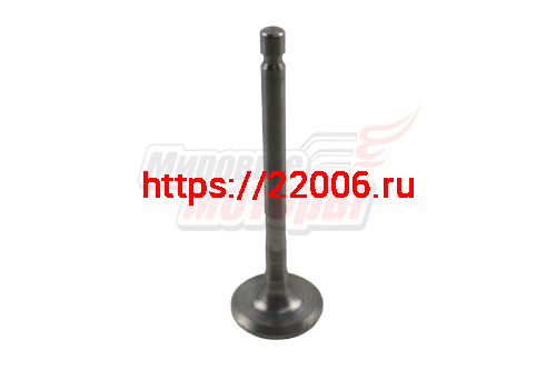 Клапан выпускной Агро (341.03.0.1030 или 341.03.0.2031) Клапан выпускной Агро (341.03.0.1030 или 341.03.0.2031)