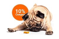 -10% на зоотовары акция в Полевском компании Инженер выгодно