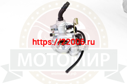 Карбюратор PZ19 Шторм 1Р54FMI в сборе с бензокраном d19мм фото 2