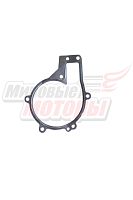 Прокладка водяного насоса FORA, TIGGO (481H-1307041)